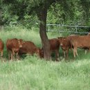 청정돼지특구 | 경남 거창군, 정자와 고택 사이로 바람이 흐르는 곳