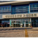오호베이커리카페