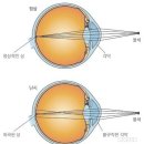 피카소안경원 이미지
