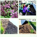 백만불세탁소 이미지