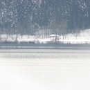 독     정 이미지