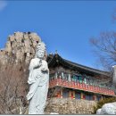 금산농협주유소 이미지