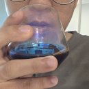 흑염소즙 추천 효능 부작용 고려해본다면