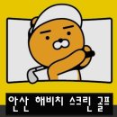 해비치스크린골프