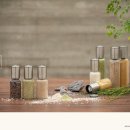 바이오솔트 이미지