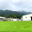 곡성농협연합미곡처리장 이미지