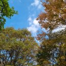 씨디앤유 | 그민페 일기