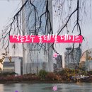 석촌근린공원 화장실 이미지