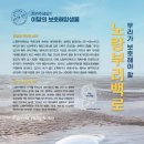 노랑댕기