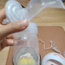 온돈족발 | 모유수유 좋은 음식! 돈족이 들어있는 엄마사랑~