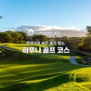 하와이 빅아일랜드 하푸나비치 골프코스: 천국 같은 라운딩 경험 (내돈내산 후기)