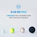 주식회사 스포첵 | 사무직 필수템 웨이브솔로 땅콩 마사지볼 업무 효율성 up