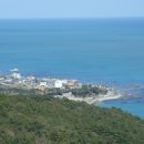 주전초교 이미지