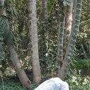 웰빙요가(오후) 이미지