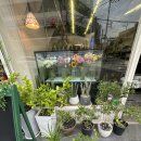 세강약국 이미지