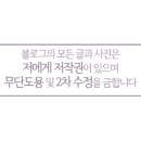 The Chillin 이미지