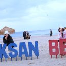 동해바다 이미지