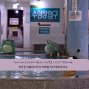 썸모텔 | 부모님 관절 풀어주고 아이들 물장구 치게 해주는 포천 제일유황온천 완벽 가이드