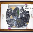 정영호농장 | 포도따기 체험...정영호 가족 후기