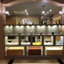 마루애견 이미지