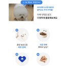 펫캡 | 휴지의 라이프펫 눈 영양제 솔직후기 😌🩵