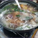회천생태공원 티스토리