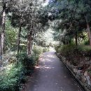 우면산 (서초약수터) 이미지