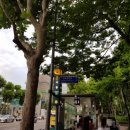 세븐일레븐 도곡공원점 | 매봉역 맛집/ 사람 사는 고깃집 김일도 도곡점 매봉역 회식장소는 여기야 김일도한판 특수부위 속풀이개밥