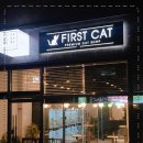 천안고양이 분양 퍼스트캣 본점 이미지