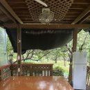 수영장민박 | 경남 산청 대포숲 근처 수영장민박 스타민박 산청 삼장교 물놀이 솔직후기