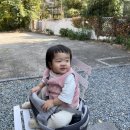 김밥천국(언양) 이미지