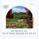 (주)팜스온 | 대전 5월 주말데이트 추천, 지금 꼭 가야하는 한밭수목원 장미 만개 후기