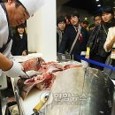 통참치 이미지