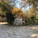 곰재농장 이미지