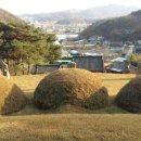 이시백 묘 이미지