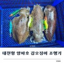 대천항 양파호 갑오징어 조행기! KF 마혼 오동목 에기 2.2호 & 다이와 라이즈100 실사용 후기
