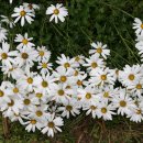 산천농장 이미지