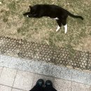 에프엠시 하루 | 그러다밤이찾아오면우리둘만의비밀을새겨요