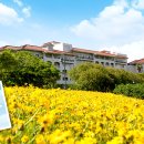 호텔월 사우나 이미지