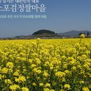 미스터신냉면 이미지