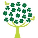 클로버(CLOVER) 티스토리