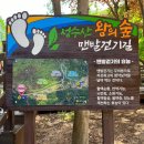 [전북 임실] 성수산 왕의 숲 자연휴양림 후기(정신실습 중 자연 속 힐링)