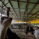 한길농장 이미지