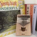 힐링 악기 칼림바 배우기 이미지