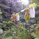 청태산휴양림 이미지