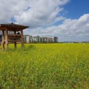 계양경기장-서운체육공원 이미지