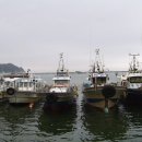 신진도리 네이버블로그