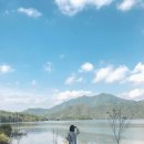 바다와 솔향기 이미지