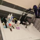 보리펫택시 이미지