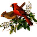 🎄카페에서 틀기좋은 감성팝송 연속듣기 🌻🎄 이미지